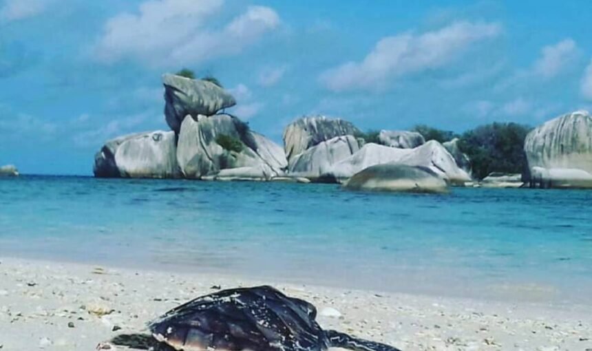 Giant Boulders & Turquoise Waters: The Surreal Landscapes of Belitung Island