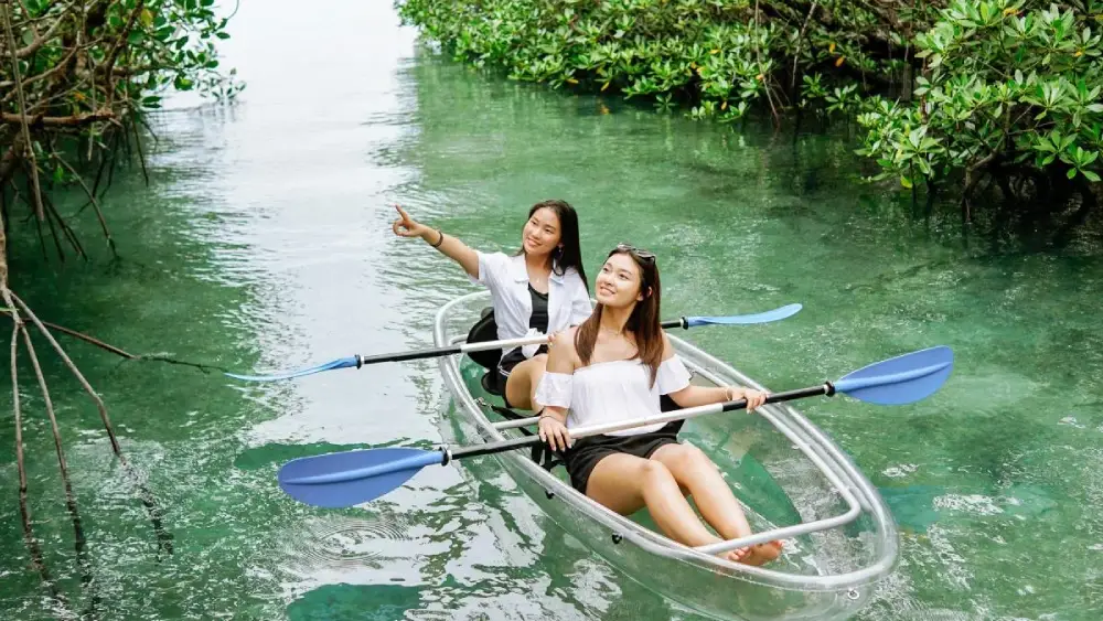 Leebong Island Hopping - Kayaking Explore Mangrove