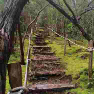 Treking Gunong Lumut